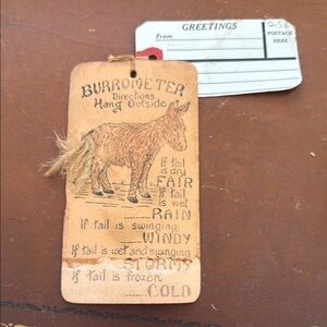 Vintage Burrometer from Flagstaff, Arizona